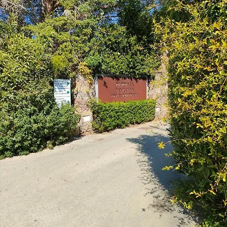 Casa Volterraio *